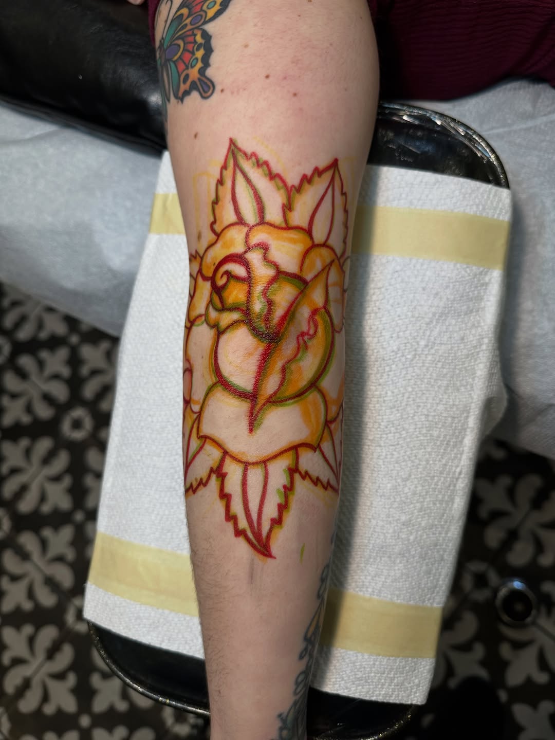 Flower, Rose