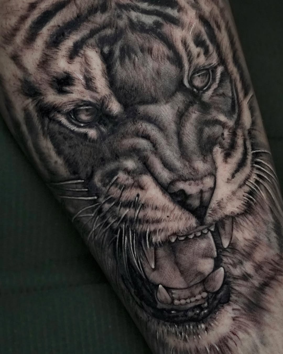 Tiger, 치타, 표범, 재규어, 사자자리, 중국 호랑이, 한국 호랑이, 일본 호랑이