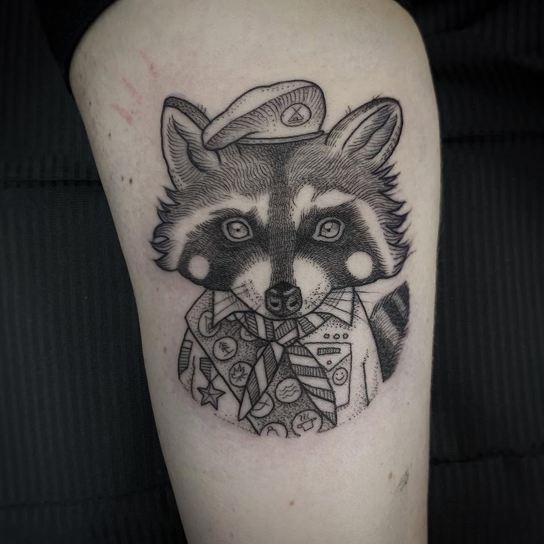 Animal, 너구리, 판다