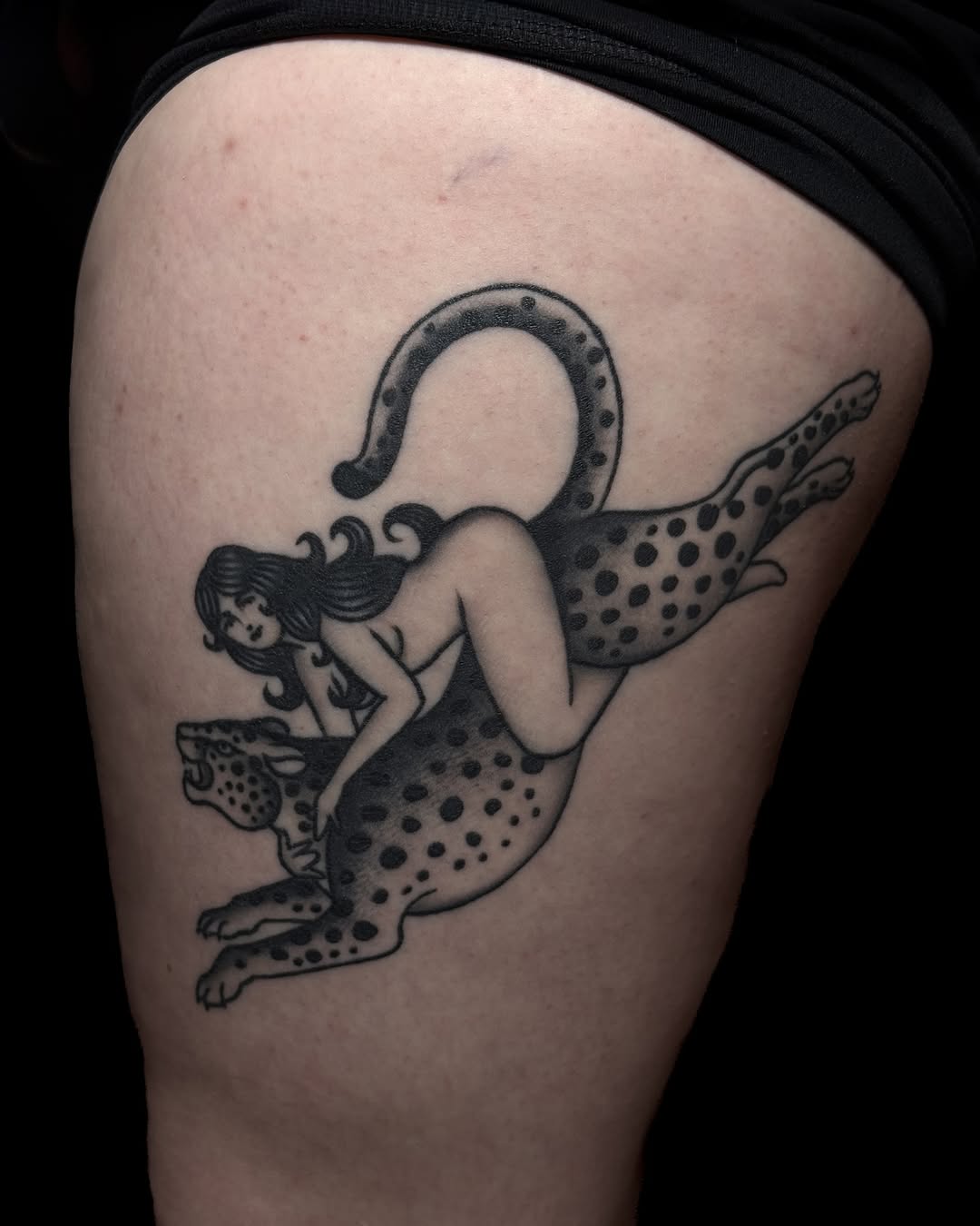 Animal, Tiger