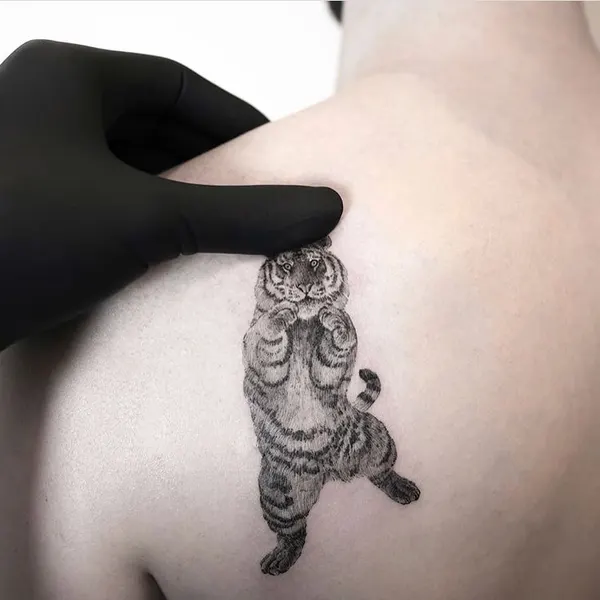 Tiger, 팬서, 발자국