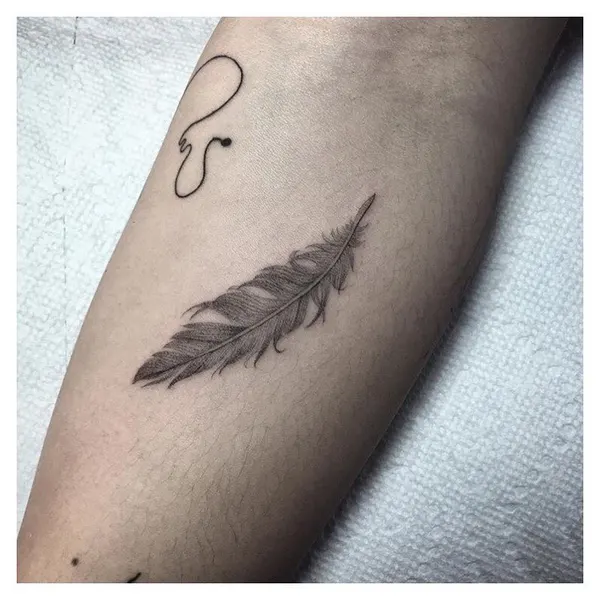Nature, 깃털, 참새