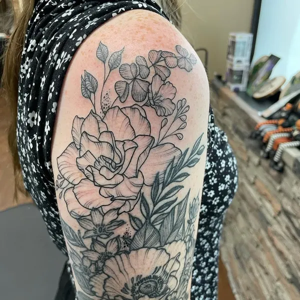 Flower, Rose, Nature