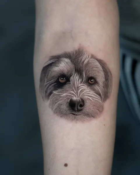 Animal