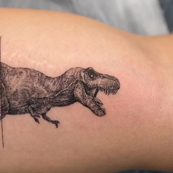 Dragon, 악어