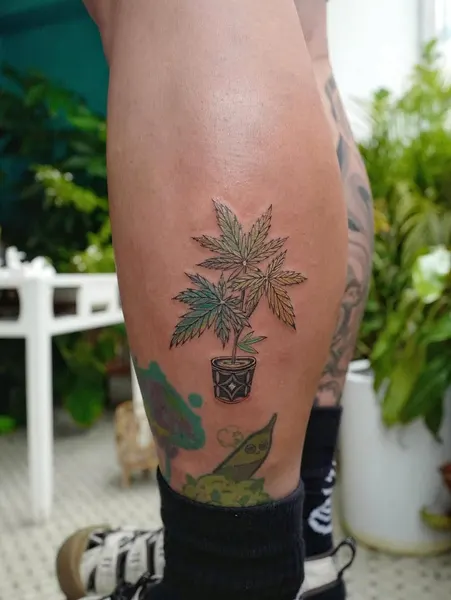 Flower, 허브, 선인장, 야자수