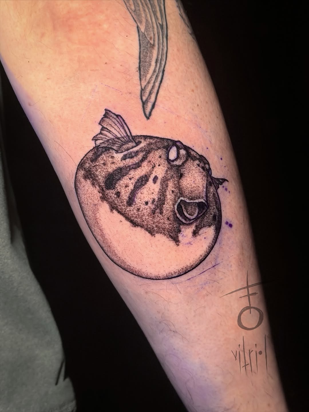 vitrioltattoo