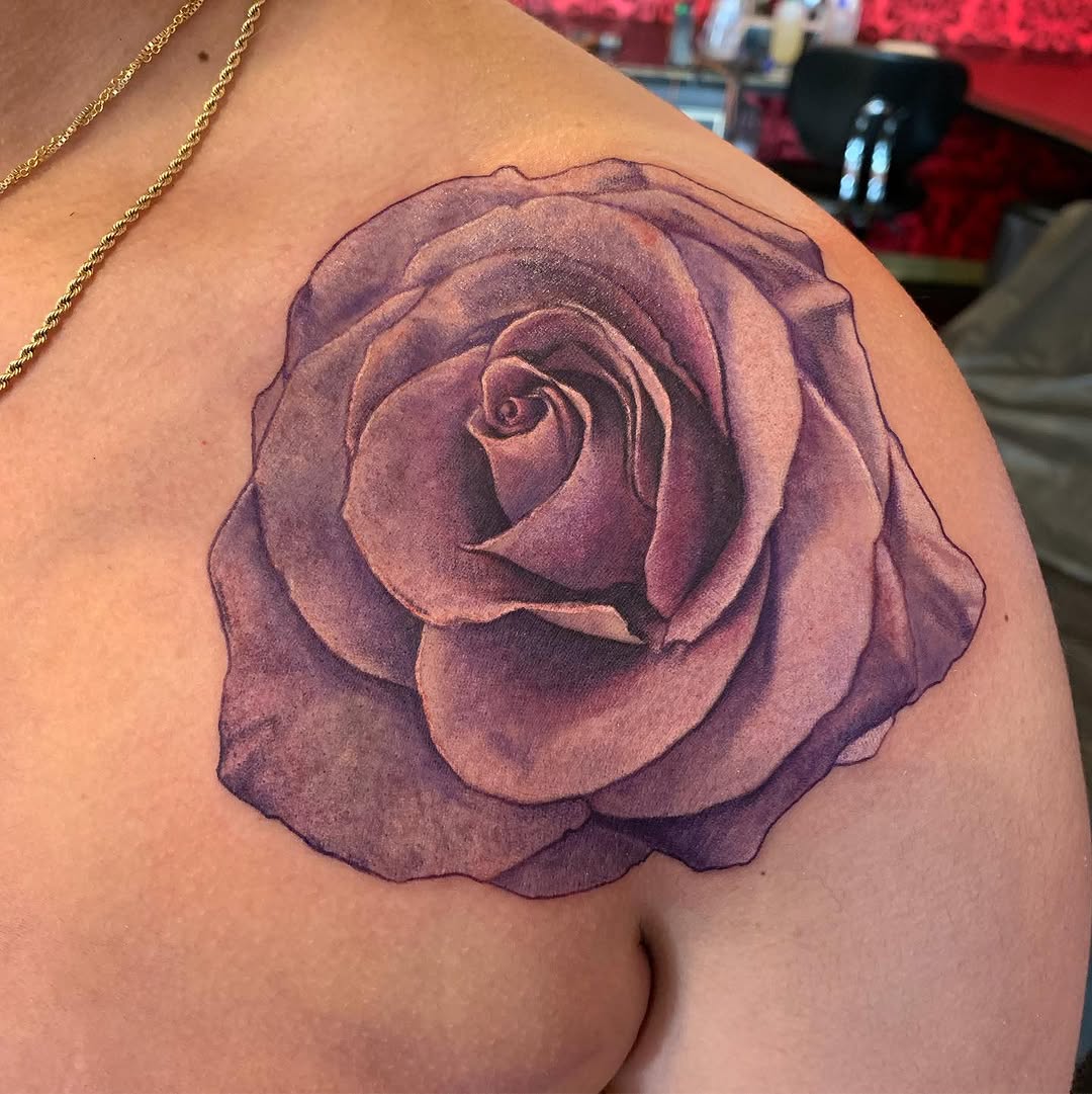 Flower, Rose, Nature