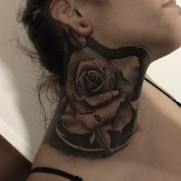 Flower, Rose, Nature