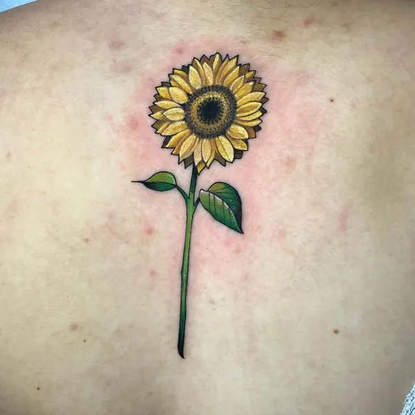 Flower, 해바라기