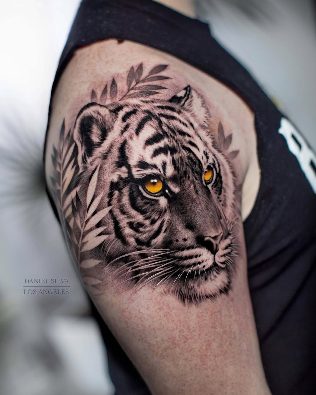 Tiger, 일본 호랑이, 중국 호랑이