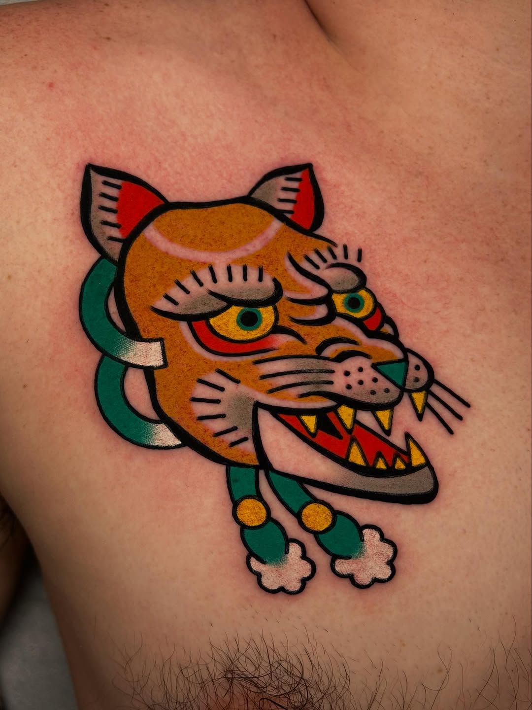 Tiger