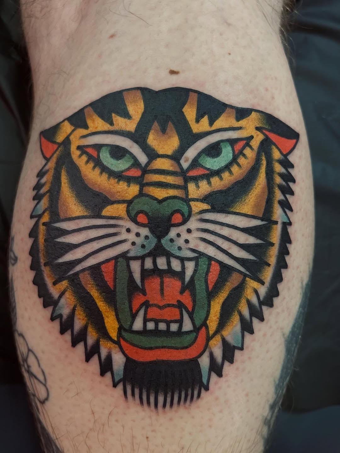 Tiger, Animal