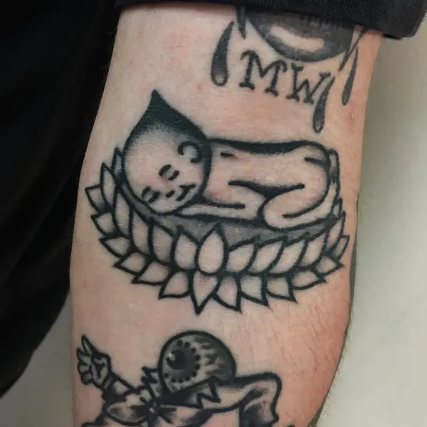 Animal, Tiger, 팬서