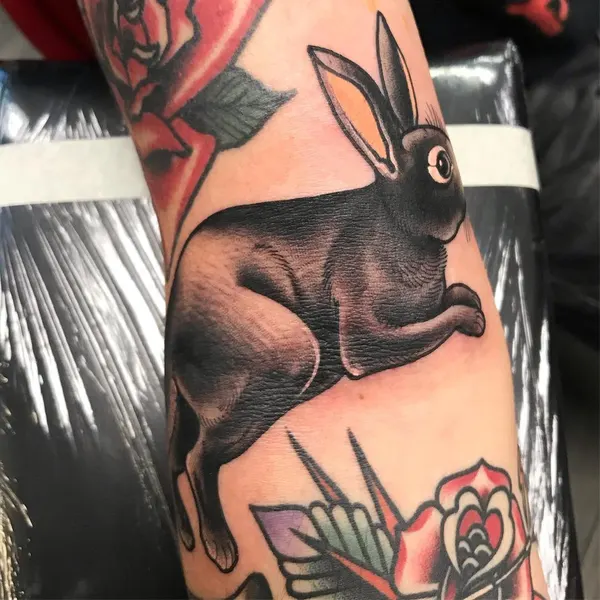 Animal, 토끼