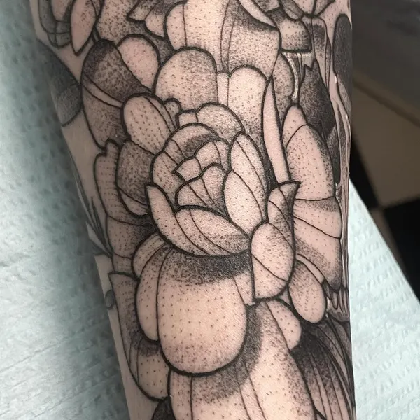 sarastigmata