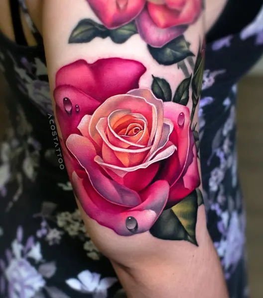 Flower, Rose, Nature
