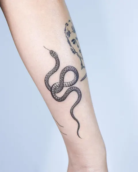 Dragon, 암밴드, 전갈자리, Snake