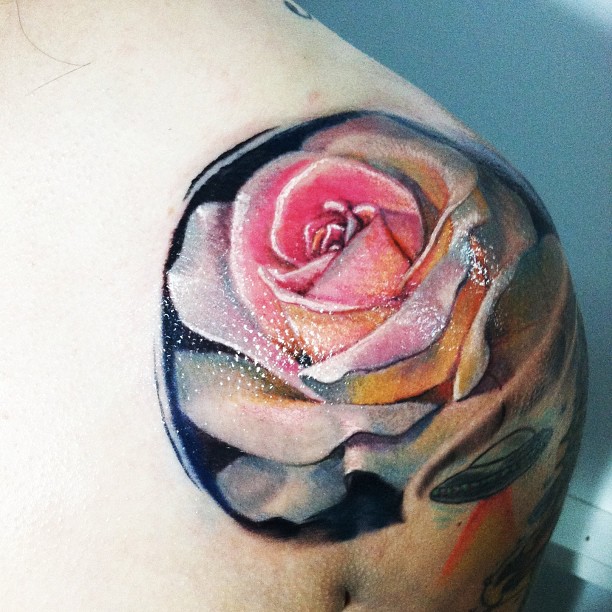 Flower, Rose, Nature
