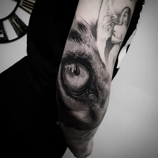 albertquintero_art