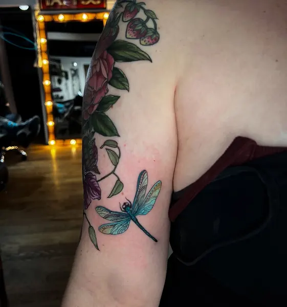 Flower, Rose, Nature