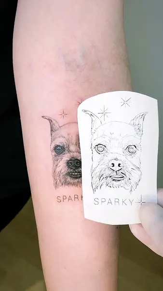 Animal