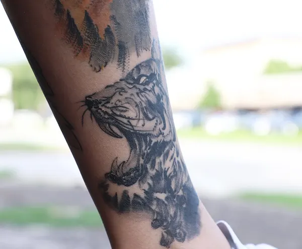 Tiger, Animal