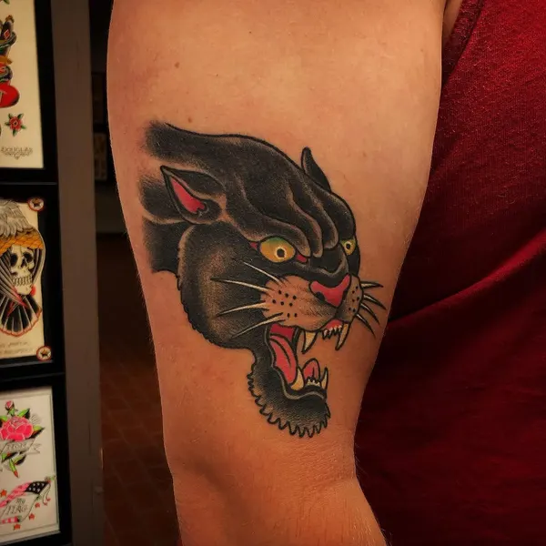Animal, Tiger
