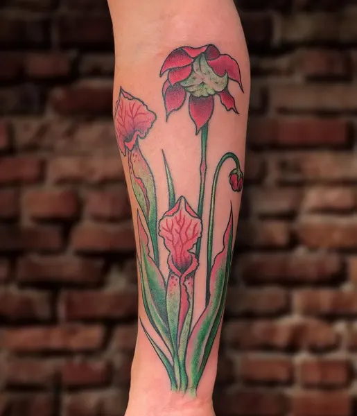 Flower, 튤립