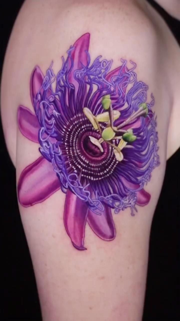 Flower, 오너멘탈, 국화, 난초