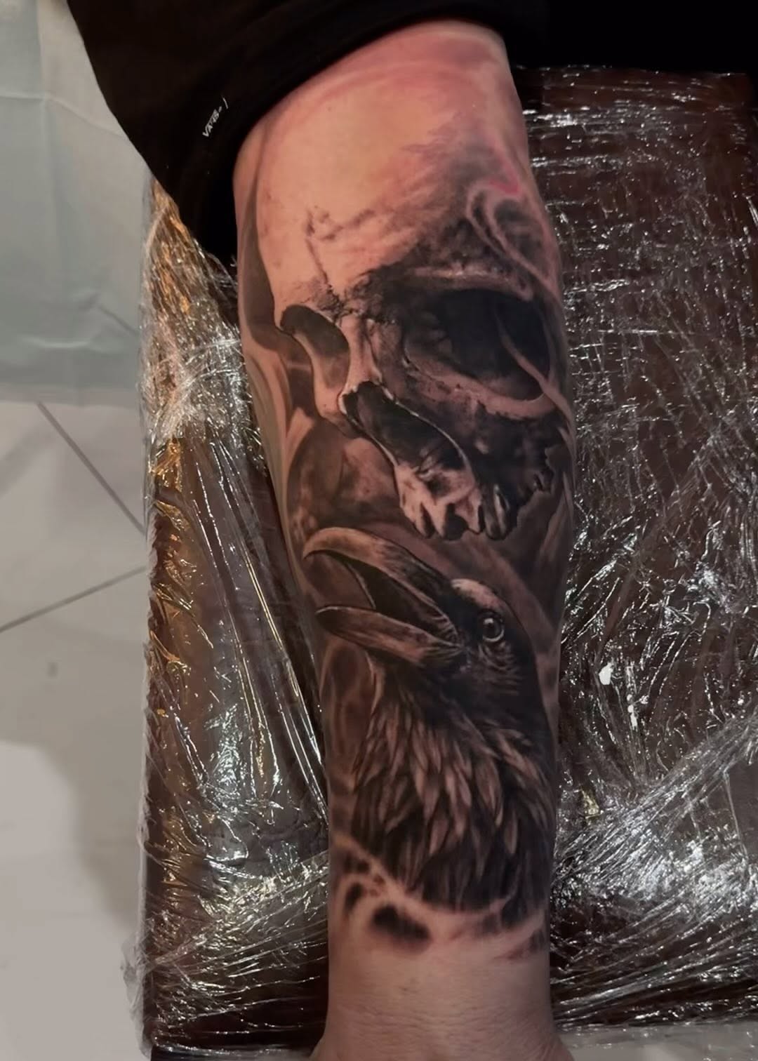 Animal