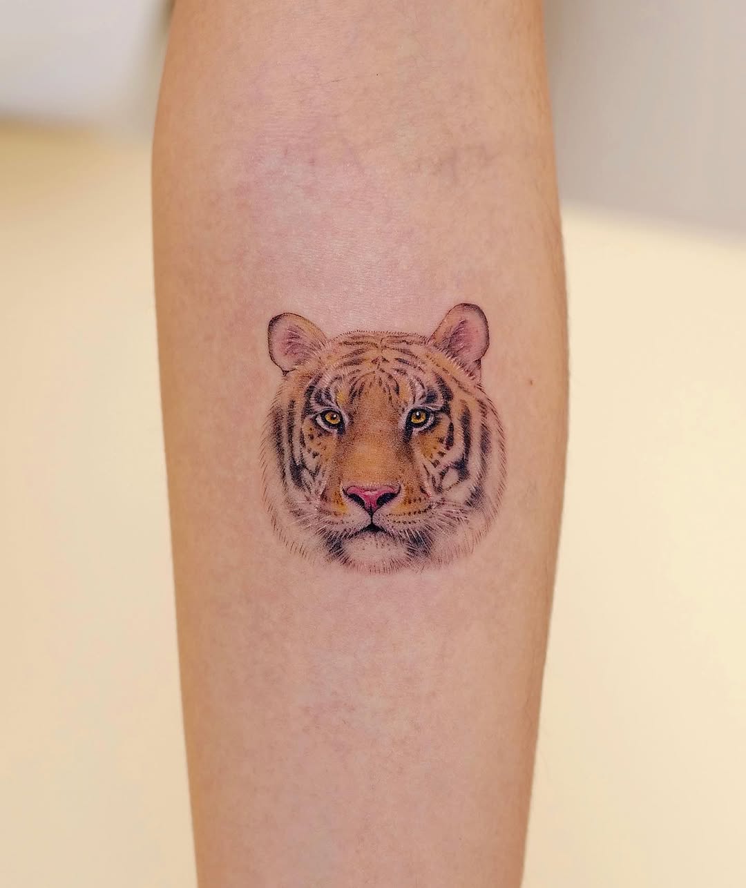 Tiger, 치타, 팬서, 표범, 재규어, 사자자리, 중국 호랑이, 한국 호랑이, Animal, 일본 호랑이