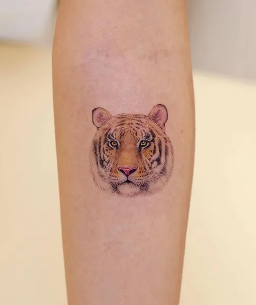 Tiger, 치타, 팬서, 표범, 재규어, 사자자리, 중국 호랑이, 한국 호랑이, Animal, 일본 호랑이