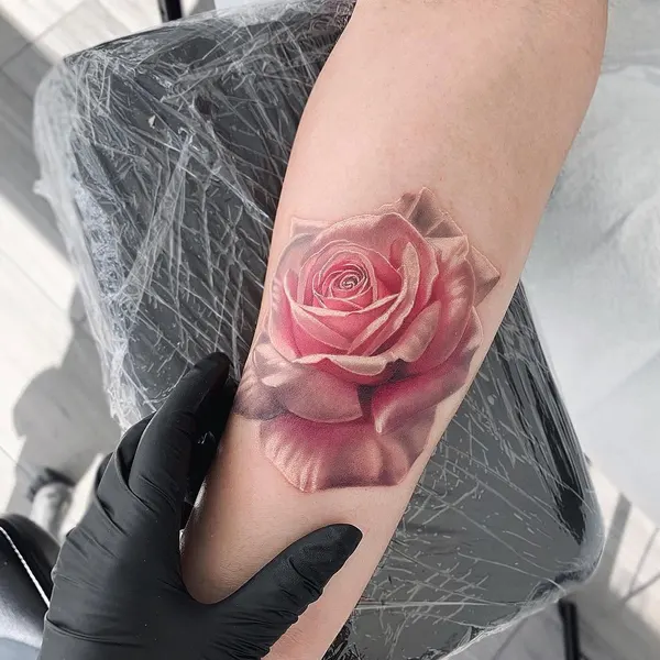 Flower, Rose