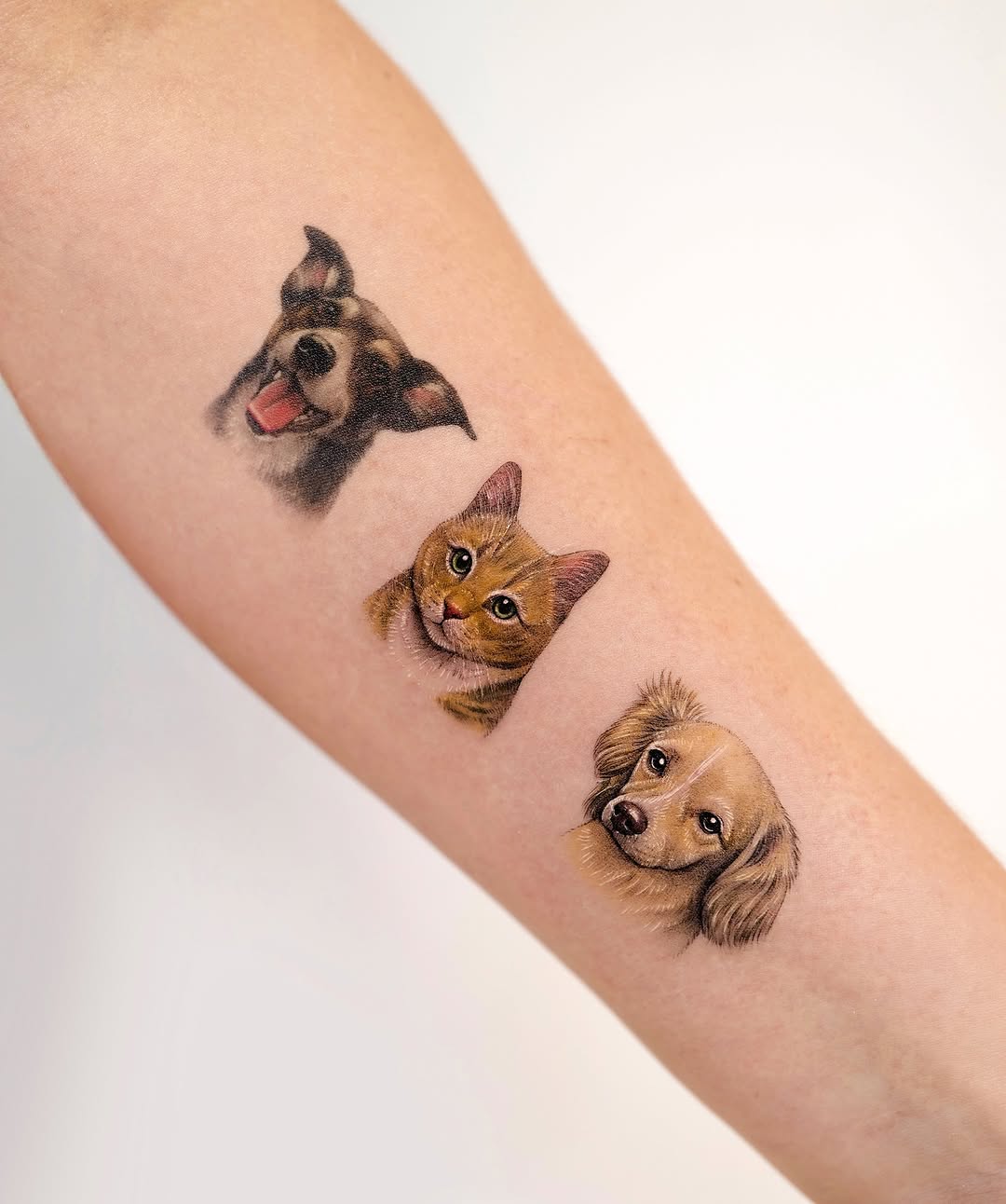 paw.tattoo