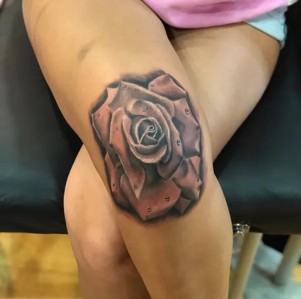 Flower, Rose