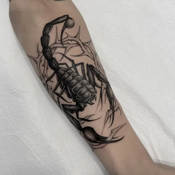 게, 랍스터