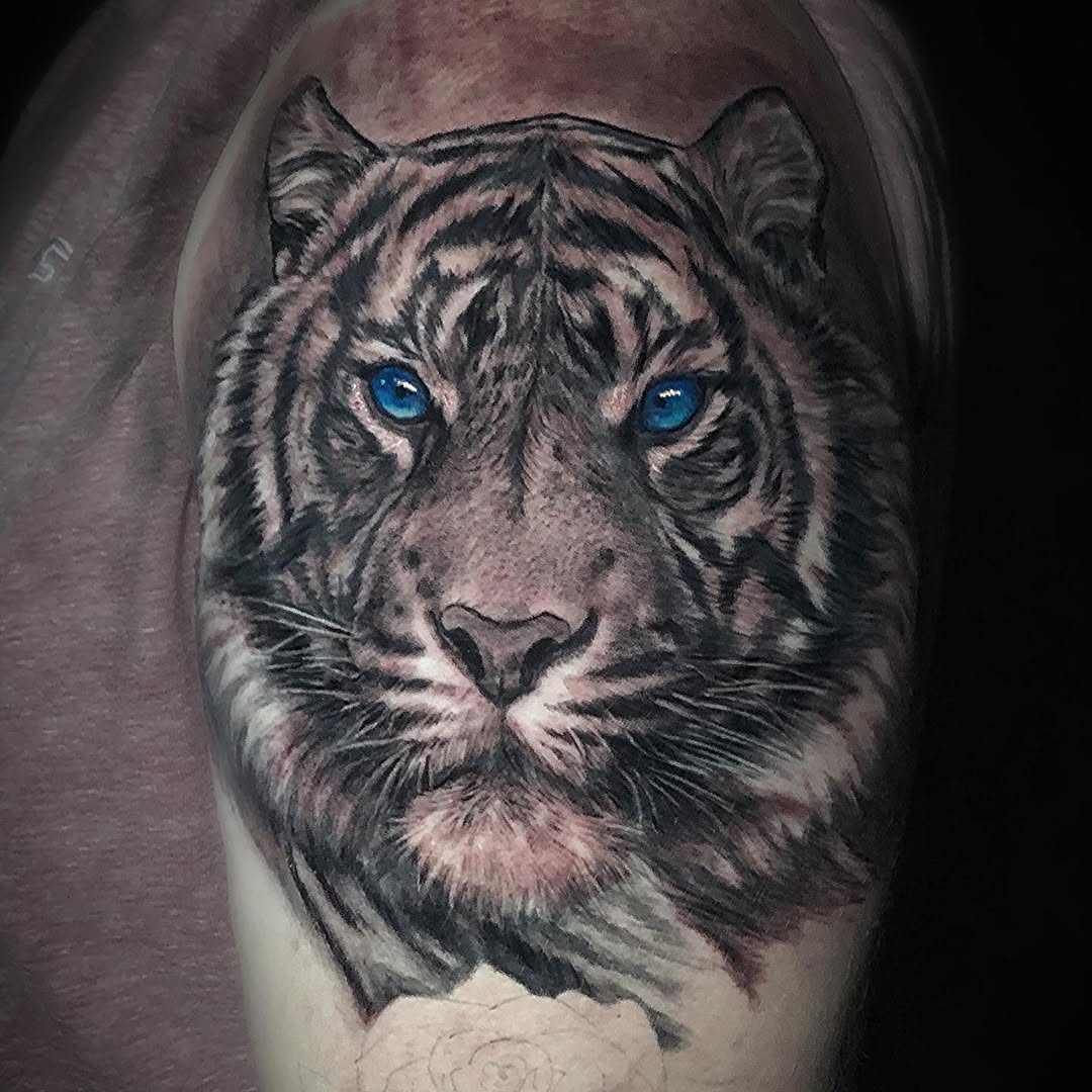Tiger, 팬서, 재규어, 한국 호랑이, 중국 호랑이