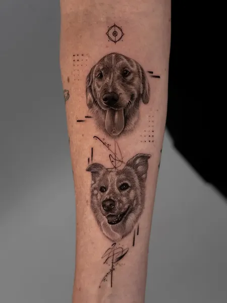 Animal