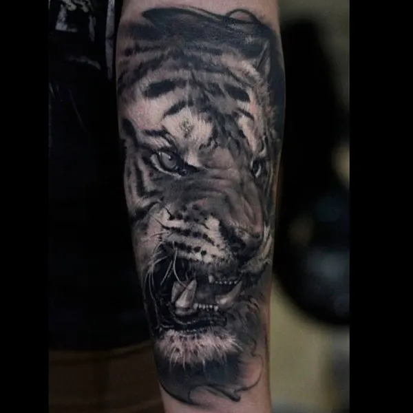 Tiger, 한국 호랑이, 일본 호랑이