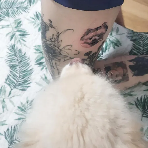 너구리