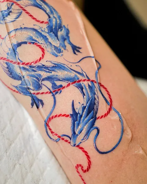 Dragon, 크라켄