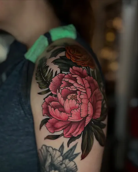 Flower, Rose