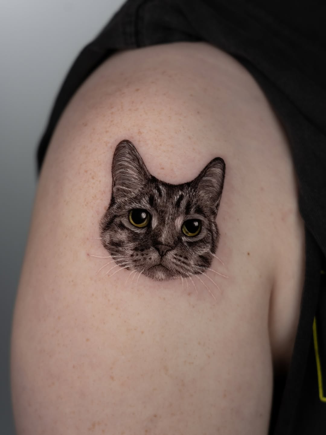 고양이