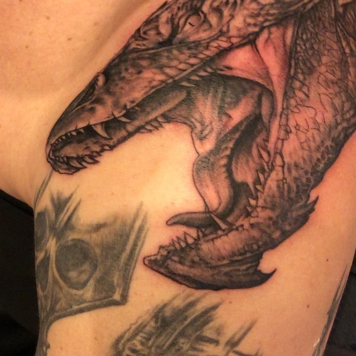 Dragon, 악어