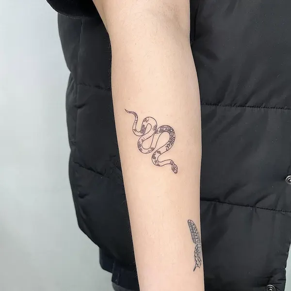 Dragon, 전갈자리