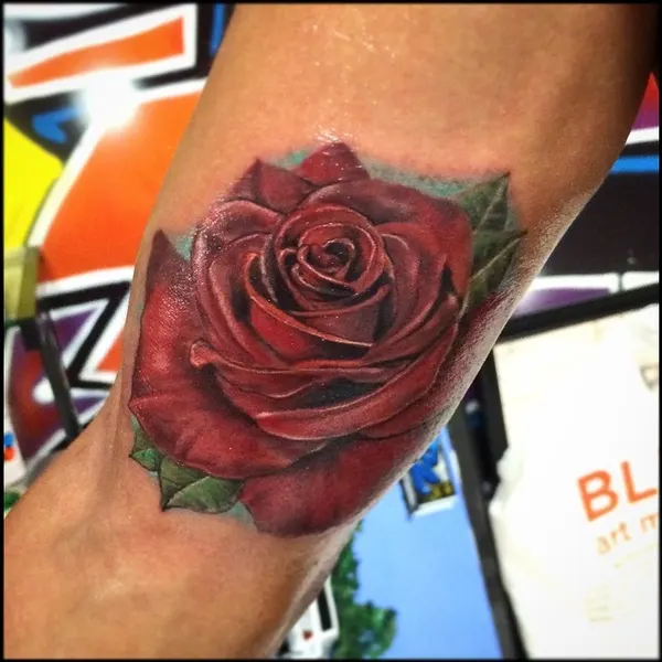 Flower, Rose