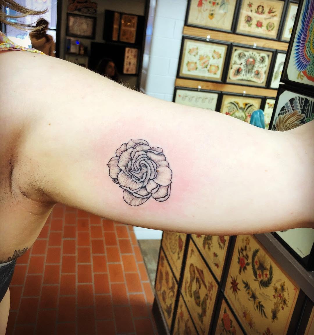 Flower, Rose