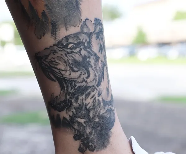 Tiger, Animal
