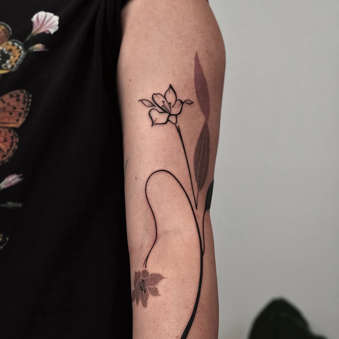 Flower, Rose